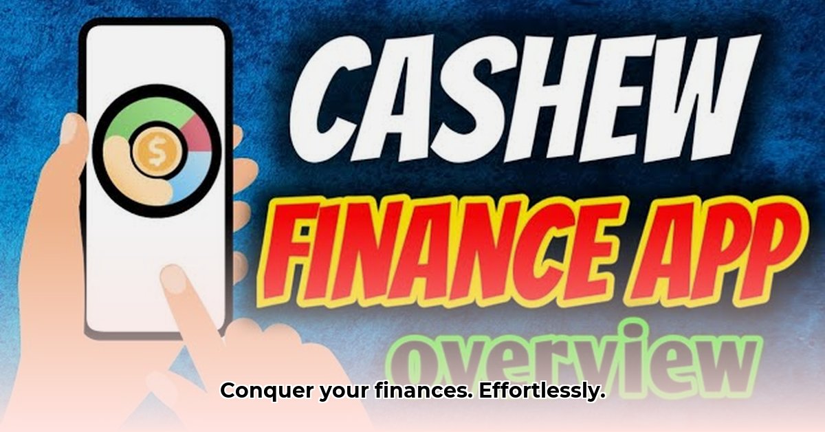 cashew-budget-app